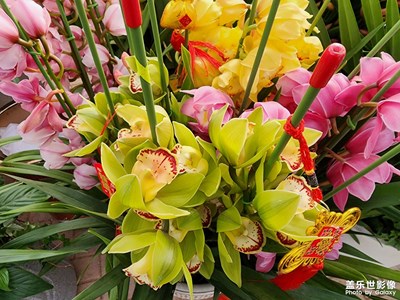 【新年快樂(lè)】+逛花市迎大年