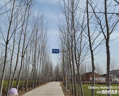 【過(guò)大年】老家的年味