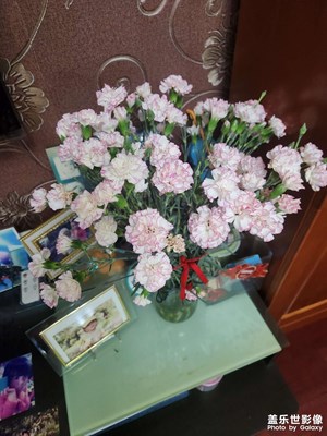 【新年快樂】年味