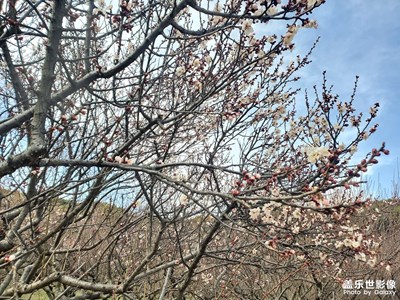 上方山森林公園