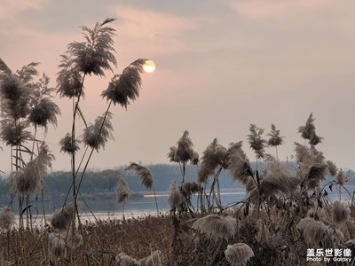 北京沙河水庫(kù)半日游這里的鳥(niǎo)好多