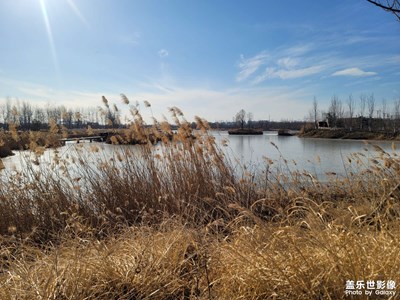 冬日午后公園 這天的天氣是真的好啊