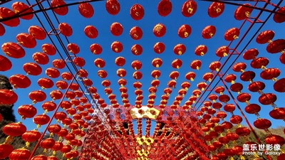 【新年快樂】兔年頂呱呱