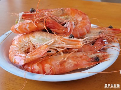 【新年快樂】+過年好！