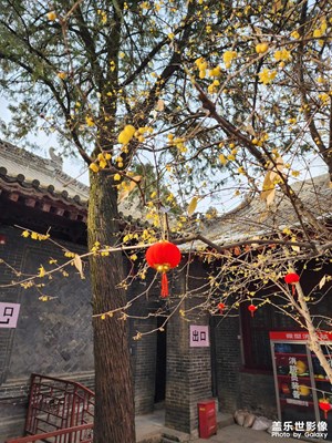 【新年快樂】+闔家歡樂