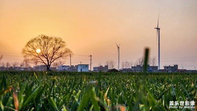 【時光靜好】落日扶桑