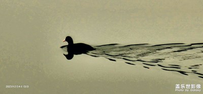 春江水暖鴨先知！