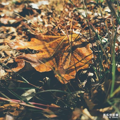 @Note20U,更新完目測還能再戰(zhàn)三年