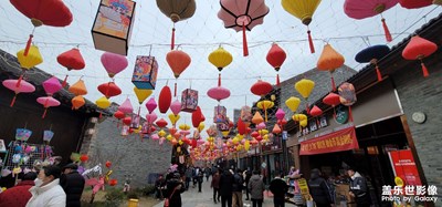 元宵節(jié)看花燈