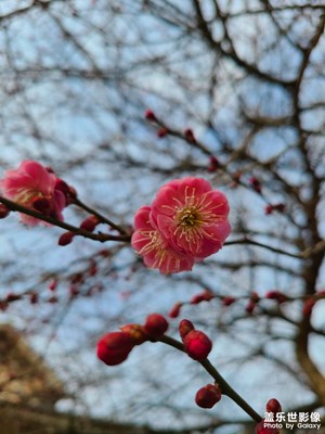 S20+大片來(lái)了