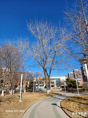 【鬧元宵】+?游園會