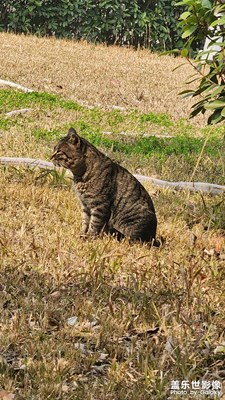 【靜美時(shí)分】+?遇見(jiàn)美景