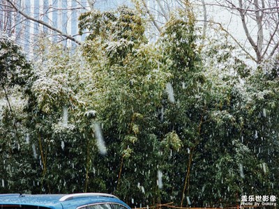 【靜美時(shí)分】s22u鏡頭下的雪