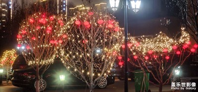 【靜美時分】+?彩燈映襯