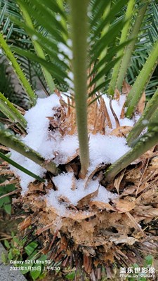 【靜美時分】+?天臺風景好