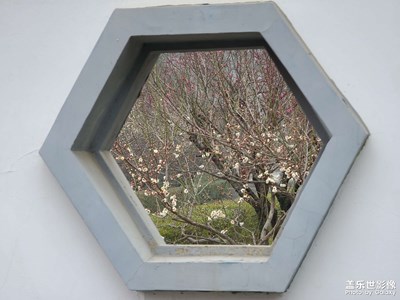 【靜美時分】聞香尋梅