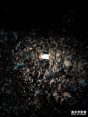 【靜美時分】+雪夜