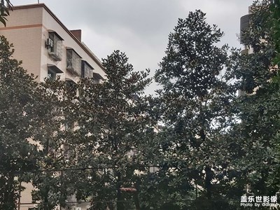 【靜美時分】+滿園春色