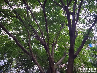 【靜美時分】+ 春色