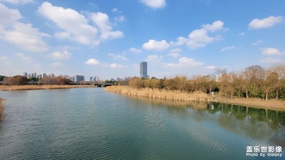 【碎片日常】+暖陽