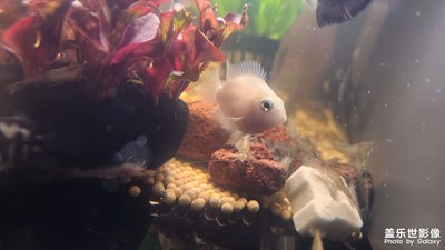 【碎片日常】+?生活隨拍