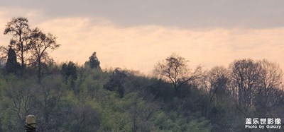 三星長焦拍攝之（仙境）