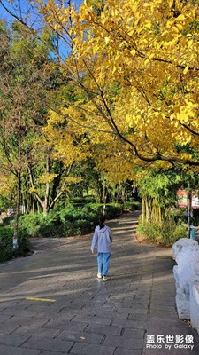 【碎片日?！? 隨拍