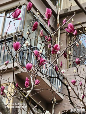 紫氣隨身出宮闈