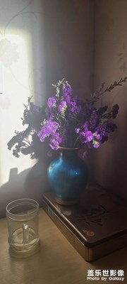 午后陽光照花瓶