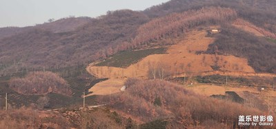 日常隨拍之（井楠民宿）