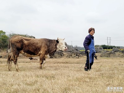 【清淺時光】+小品