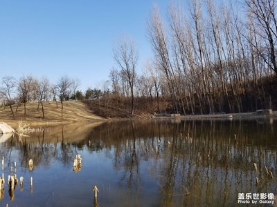 【清淺時(shí)光】日常碎片