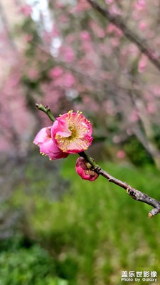 【清淺時光】+ 處處是風景