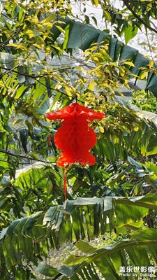 S23U待電，拍照確實(shí)不錯(cuò)。