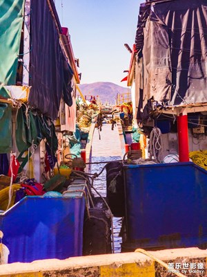 【清淺時光】+?場景小拍