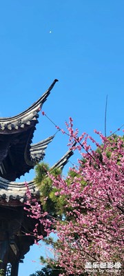 慈溪公園隨手拍