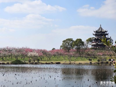 S23U到了，拍一下花