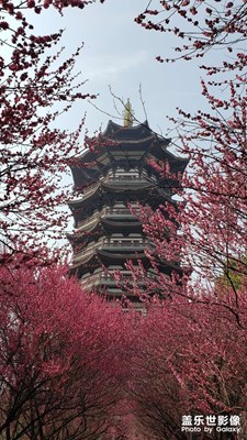 湖南長(zhǎng)沙洋湖國(guó)家濕地公園