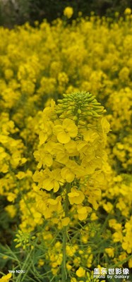 二月底來拍發(fā)發(fā)！