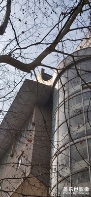 【清淺時光】+ 隨便逛逛