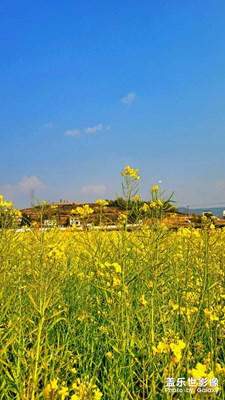 【網(wǎng)紅打卡地】+?老角寨