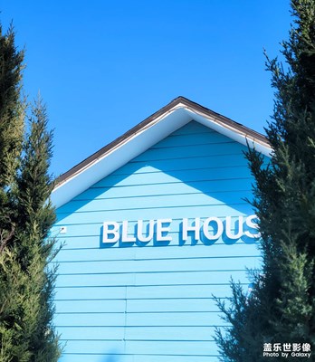 【網(wǎng)紅打卡地】+艷麗的色彩