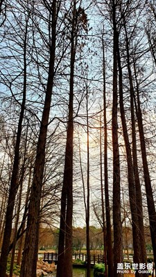 【網(wǎng)紅打卡地】博覽公園