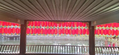 天氣好總要繼續(xù)拍花花吧！