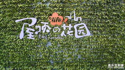 【網(wǎng)紅打卡地】長(zhǎng)春歐亞新生活空中花園