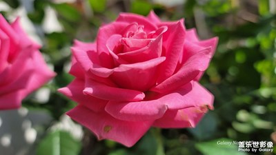 拍照也就這回事。