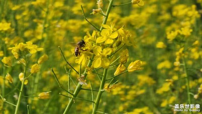 【網(wǎng)紅打卡地】興農(nóng)果園