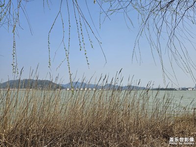 跟上春天的腳步