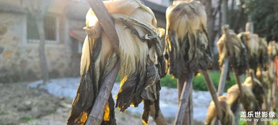 日常隨拍之(小鎮(zhèn)街道)