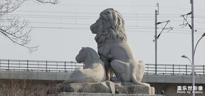 日常隨拍之(瑯獅)